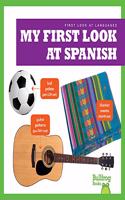 My First Look At Spanish