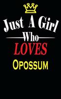Just a Girl Who Loves Opossum