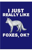 I Just Really Like Foxes Ok