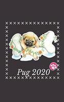 Pug 2020