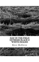 Hay in the Field - Extreme Black & White Images