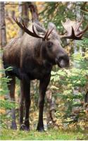 Moose Blank Journal