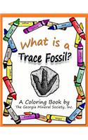 What Is a Trace Fossil?: A Coloring Book by the Georgia Mineral Society, Inc.