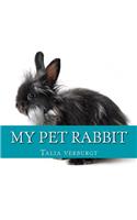 My pet rabbit