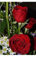 Rosa Notebook: 150 lined pages, softcover, 6 x 9