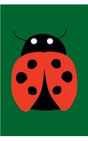 Blank Notebook - 100 Pages - Ladybug on Green: Unruled; Unlined White Paper; 6" x 9"; 15.2 cm x 22.9 cm; 50 Sheets; Page Numbers; Table of Contents; Diary; Journal; Lady Bug