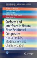 Surfaces and Interfaces in Natural Fibre Reinforced Composites