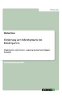 Förderung der Schriftsprache im Kindergarten: Möglichkeiten und Grenzen - aufgezeigt anhand einschlägiger Konzepte