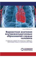 Variantnaya Anatomiya Vnutrizheludochkovykh Obrazovaniy Serdtsa Cheloveka: (Russian)