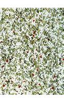 PeaRoeFoam