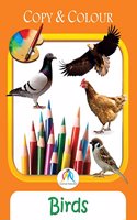 Colouring Book Cover_Birds Pb