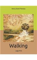 Walking