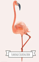 Flamingo Coloring Book
