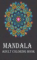 Mandala Adult Coloring Book