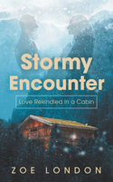 Stormy Encounter: Love Rekindled in a Cabin