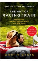The Art of Racing in the Rain