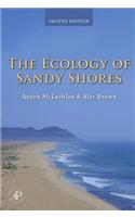 The Ecology of Sandy Shores