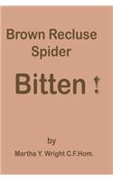 Brown Recluse Spider Bitten!