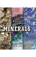 A Look at Minerals