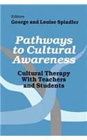 Pathways to Cultural Awareness