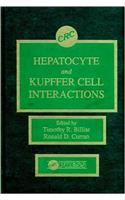 Hepatocyte and Kupffer Cell Interactions