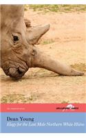 Elegy for the Last Male Northern White Rhino