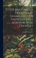 Étude Anatomique De Quelques Graminées Et En Particulier Des Agropyrum De L'hérault