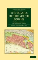 The Fossils of the South Downs: Or, Illustrations of the Geology of Sussex(Cambridge Library Collection - Earth Science)