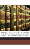 Petrificata Derbiensia: Or, Figures and Descriptions of Petrifactions Collected in Derbyshire, Volume 1
