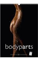 Bodyparts 2018