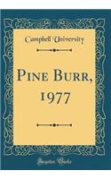 Pine Burr, 1977 (Classic Reprint)