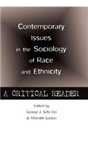 Contemporary Issues in the Sociology of Race and Ethnicity