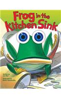 Frog in the Kitchen Sink