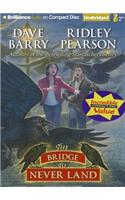 The Bridge to Never Land