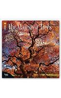 The Majesty of Trees 2018 Calendar