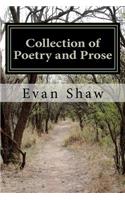 Collection of Poetry and Prose: from Young Mystic