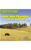 Vivo Cerca de Una Pradera (There Are Grasslands in My Backyard!)