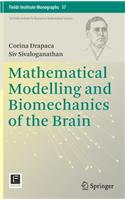 Mathematical Modelling and Biomechanics of the Brain: (37 Fields Institute Monographs)