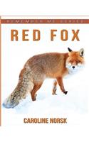 Red Fox: Amazing Photos & Fun Facts Book About Red Fox For Kids