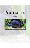 Axolotl Notebook: Notebook with 150 lined pages