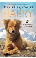 Harry