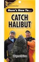 Catch Halibut
