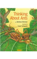 Thinking about Ants