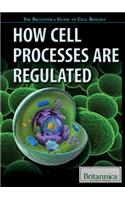 How Cell Processes Are Regulated