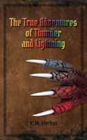 True Adventures of Thunder and Lightning