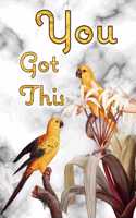 You Got This