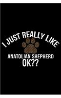 I Just Really Like Anatolian Shepherd Ok?