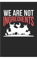 We are not Ingredients