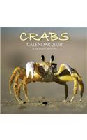 Crabs Calendar 2020