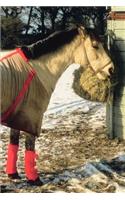 2020 Weekly Planner Horse Photo Equine Blanketed Horse Winter 134 Pages: 2020 Planners Calendars Organizers Datebooks Appointment Books Agendas